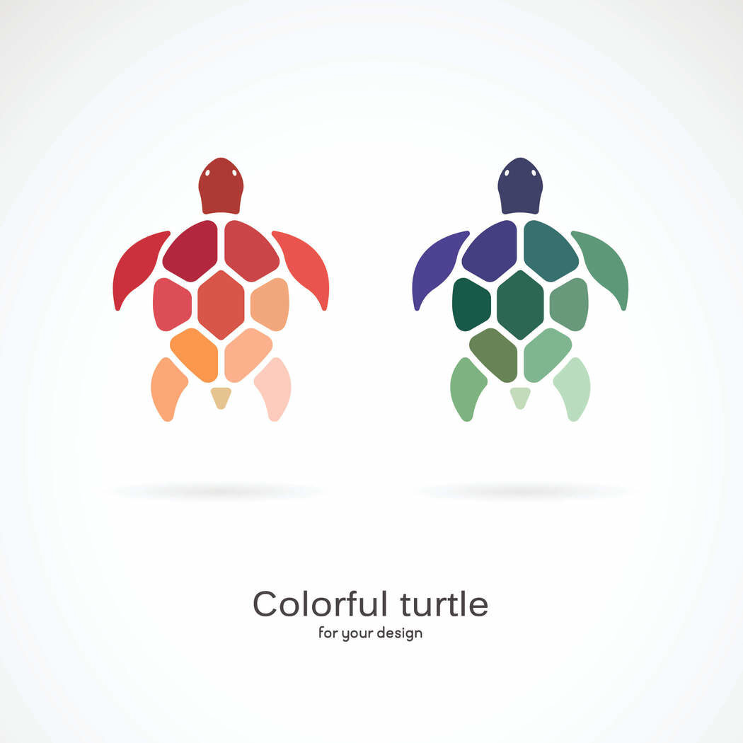 Python学習の入り口に Turtle たーとる でcgを描こう